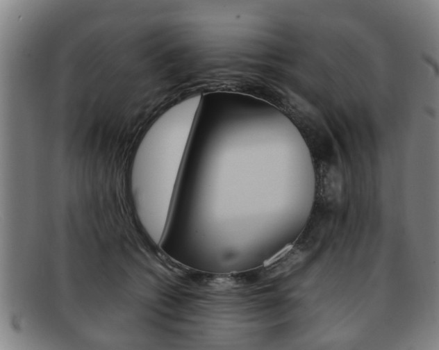 X0000092060562200709121008