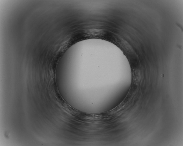 X0000092060563200709121008