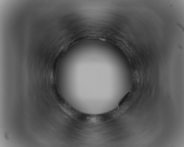 X0000092060564200709121008
