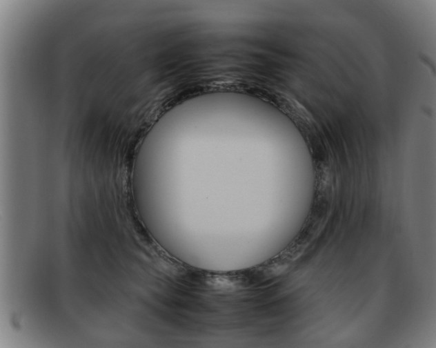 X0000092060565200709121008