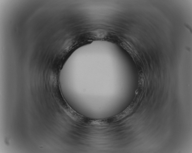 X0000092060568200709121008