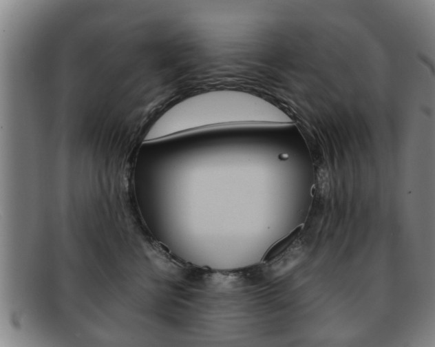X0000092060570200709121008