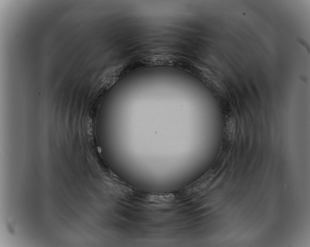 X0000092060571200709121008