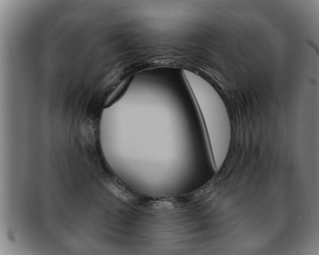 X0000092060572200709121008