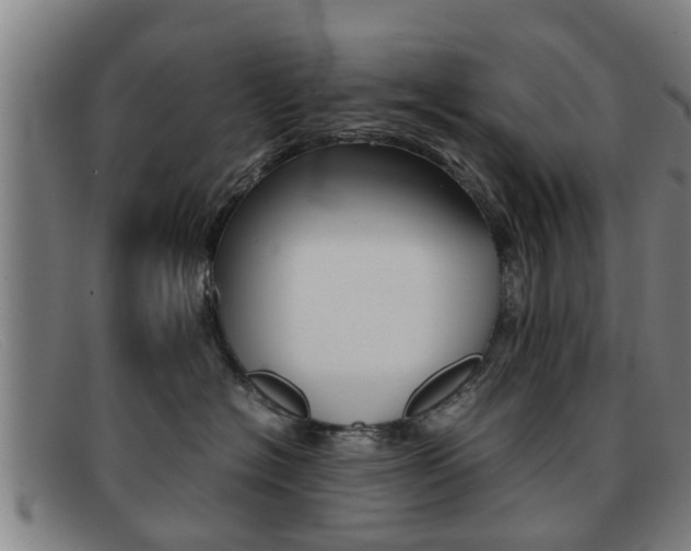 X0000092060574200709121008