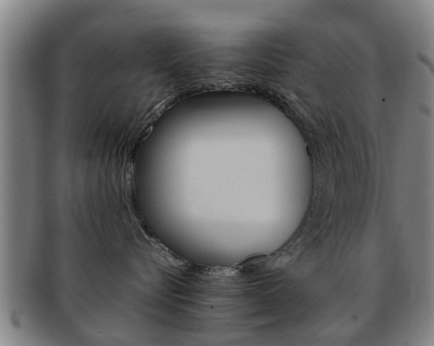 X0000092060576200709121008