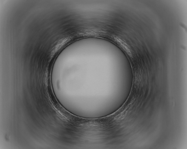 X0000092060578200709121007