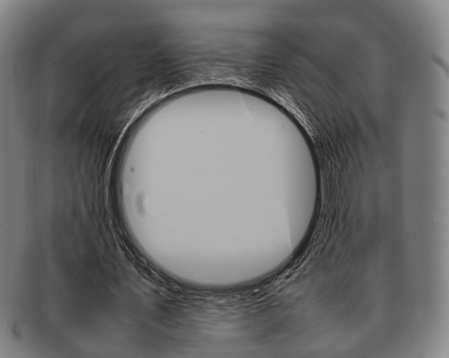 X0000092060579200709121007