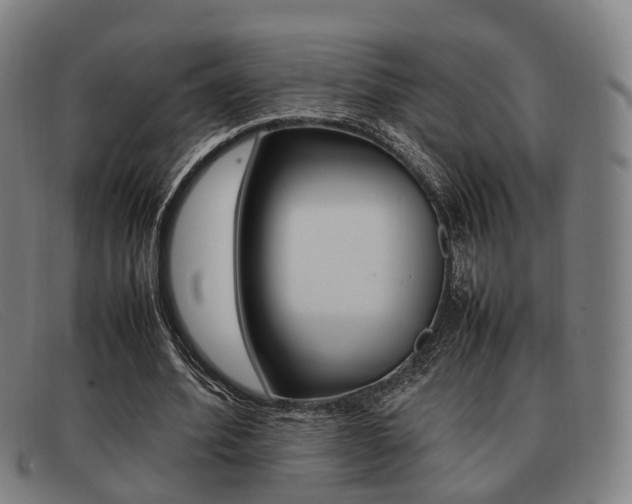 X0000092060580200709121007