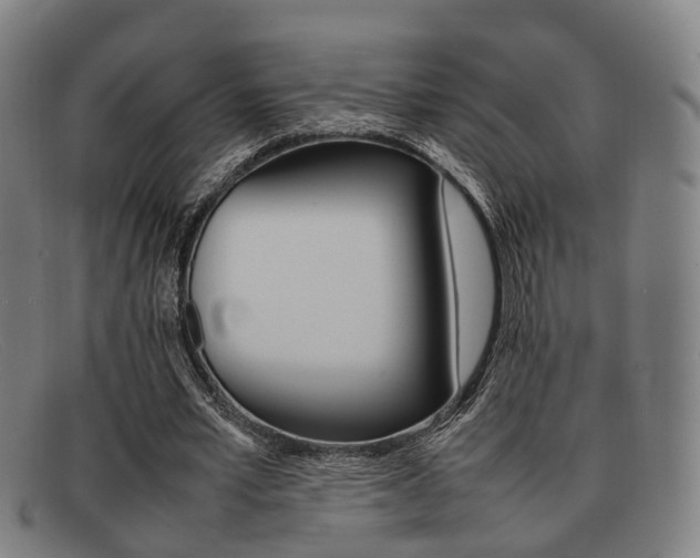 X0000092060581200709121007