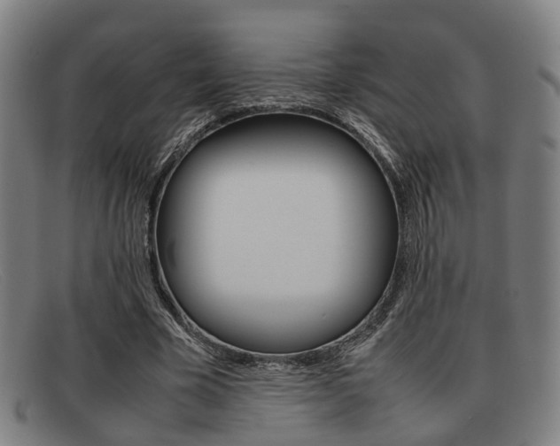 X0000092060585200709121007