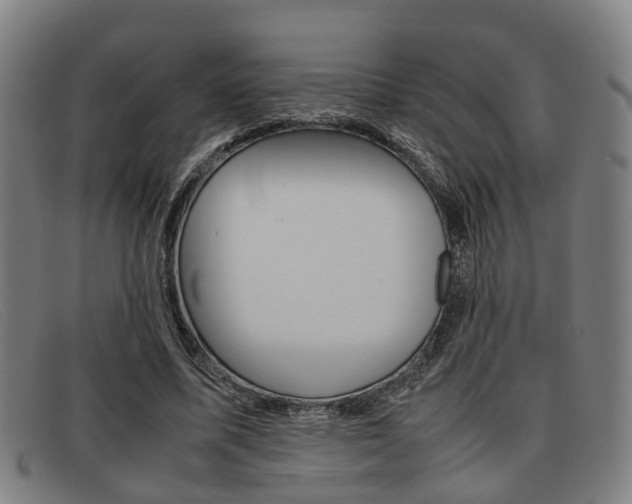 X0000092060587200709121007