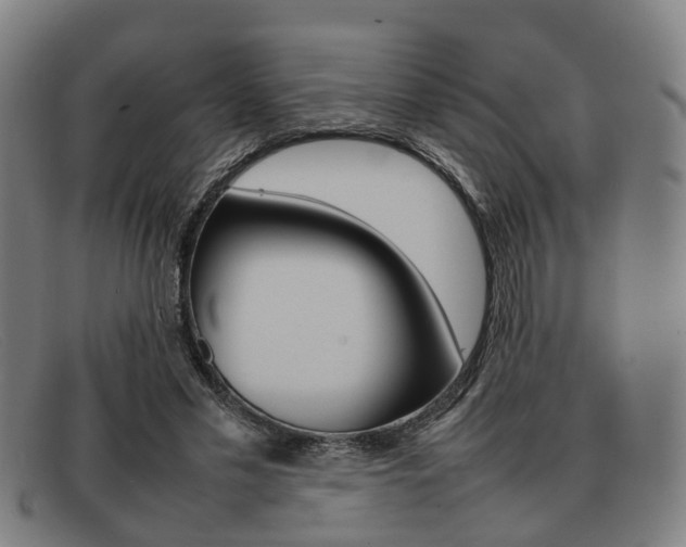 X0000092060589200709121007