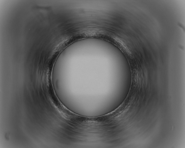 X0000092060590200709121007