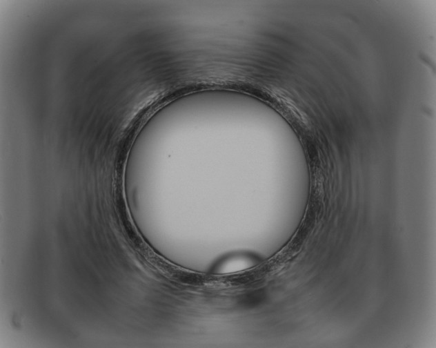 X0000092060591200709121007
