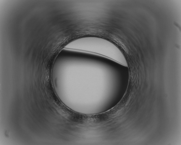 X0000092060593200709121007