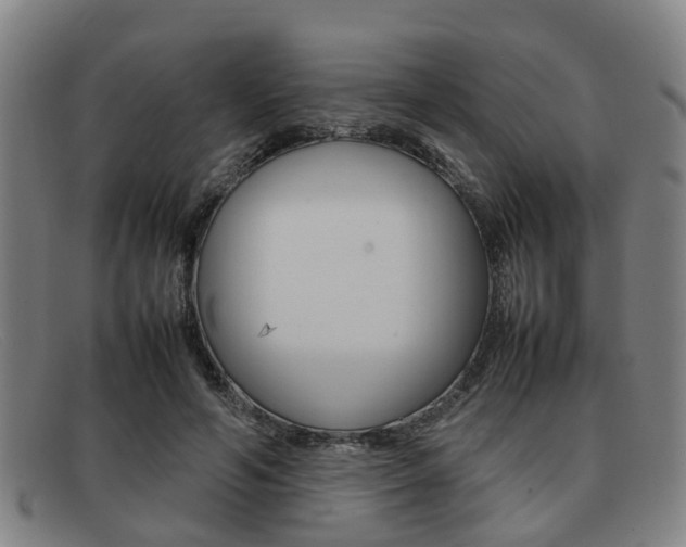 X0000092060594200709121007