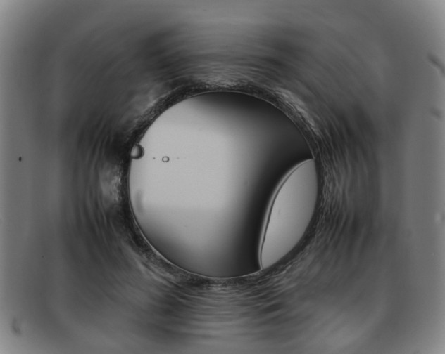 X0000092060596200709121007