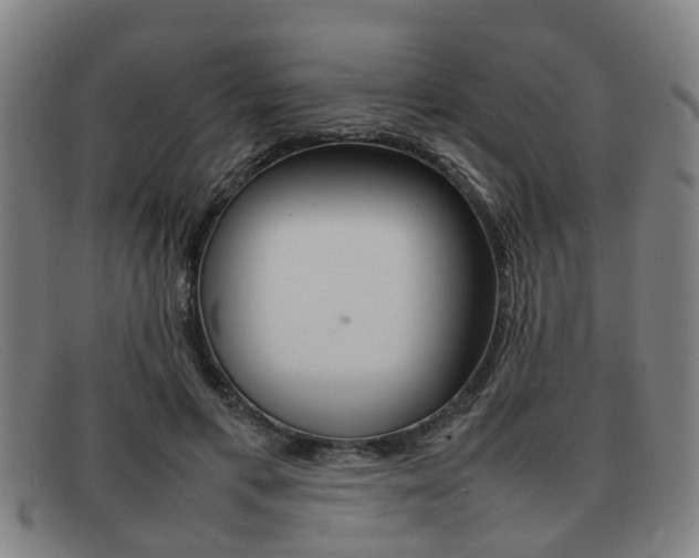 X0000092060597200709121007