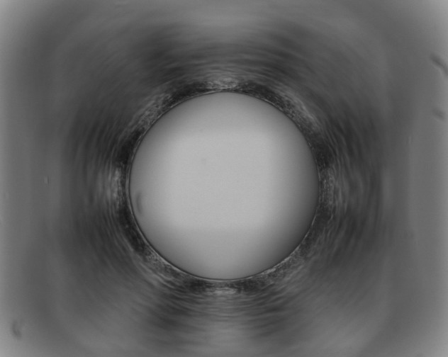 X0000092060598200709121007