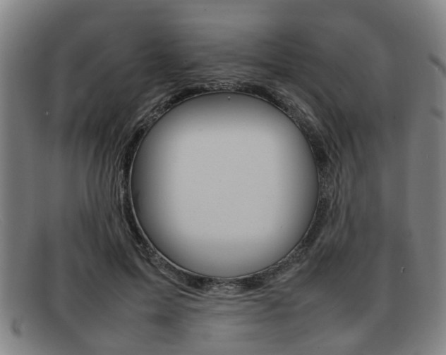 X0000092060599200709121007