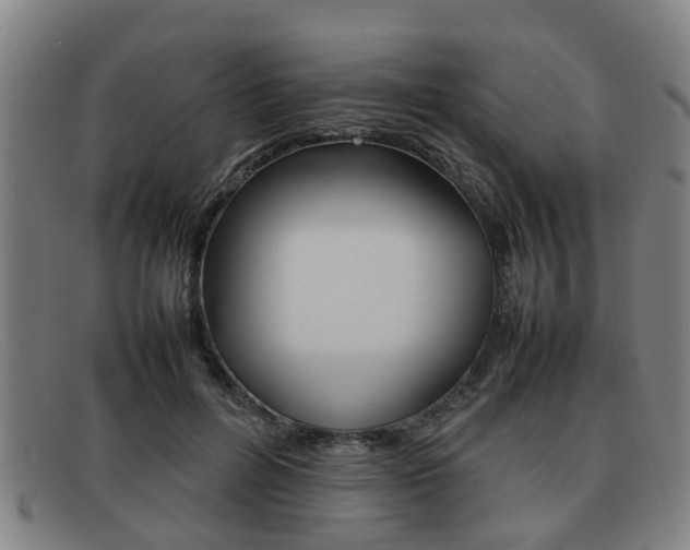 X0000092060600200709121007