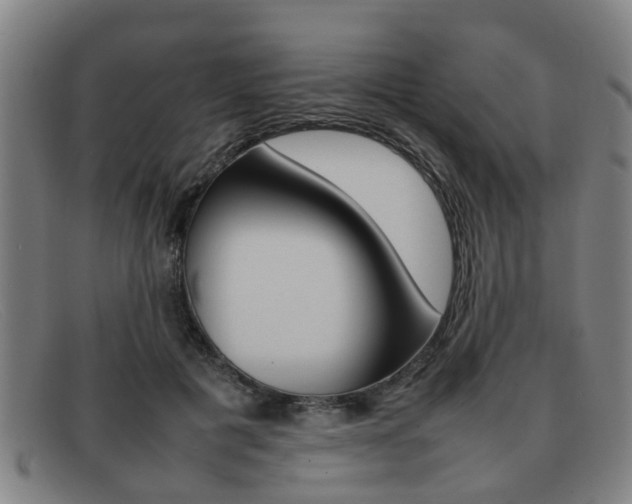 X0000092060601200709121007
