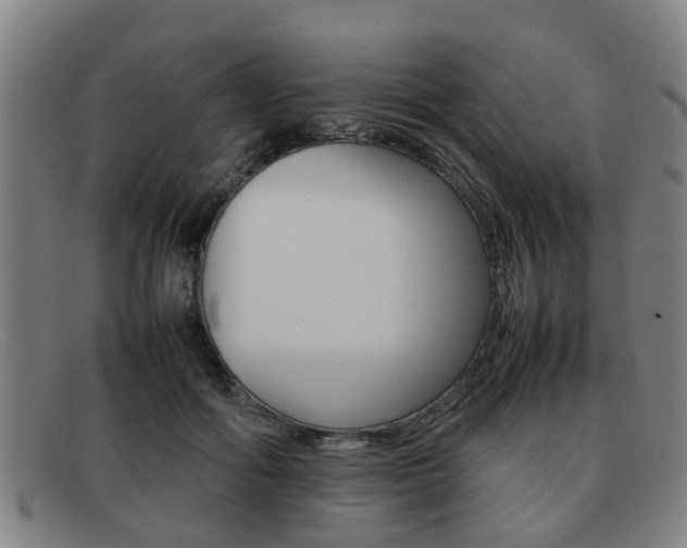X0000092060602200709121007