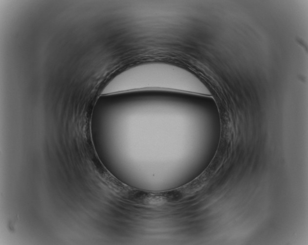 X0000092060604200709121007