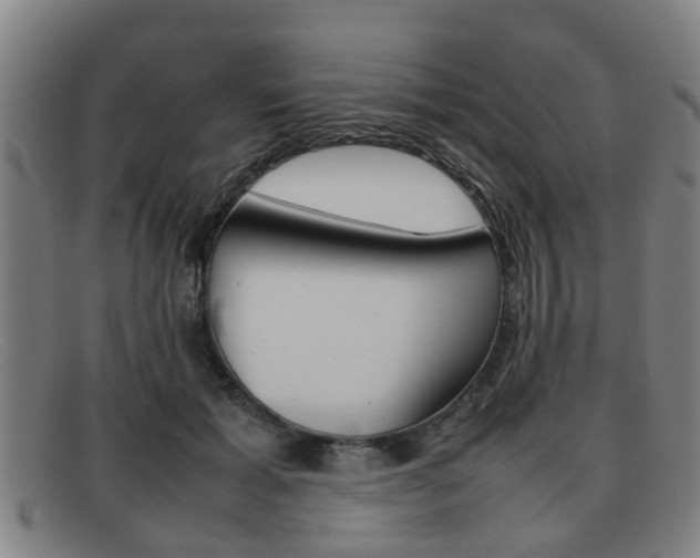 X0000092060605200709121007