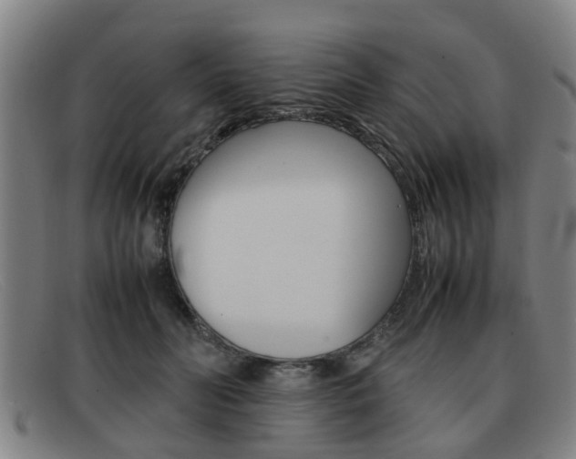 X0000092060606200709121006