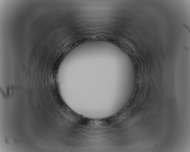 X0000092060607200709121006