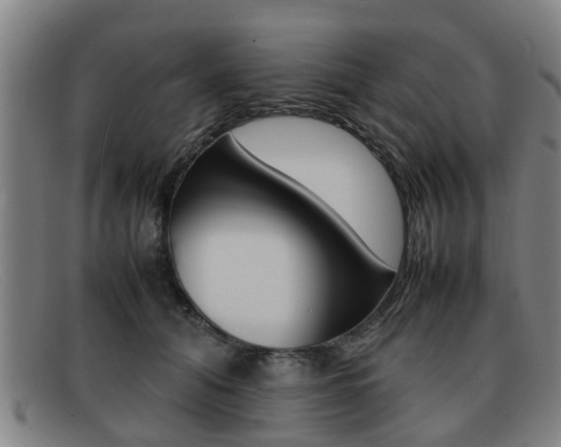X0000092060608200709121006