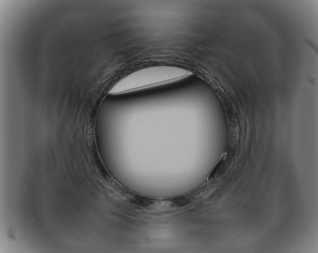 X0000092060609200709121006