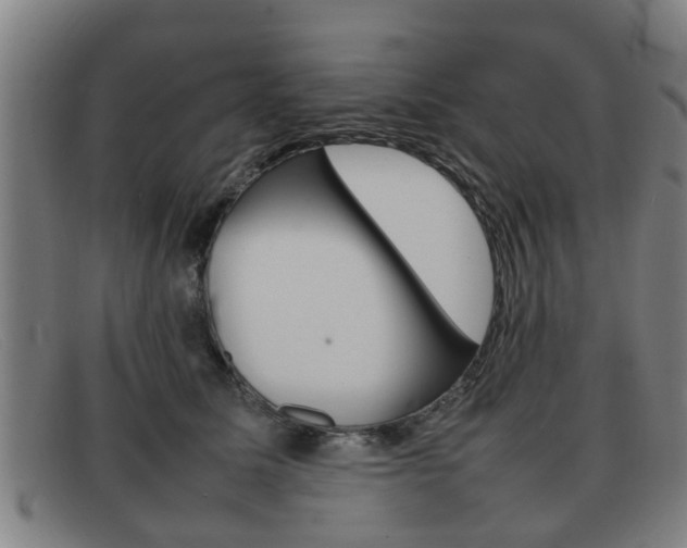 X0000092060611200709121006