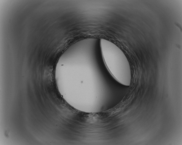 X0000092060612200709121006