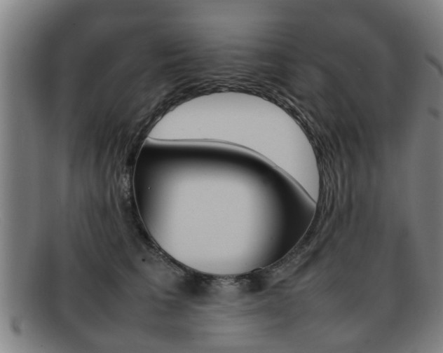 X0000092060613200709121006