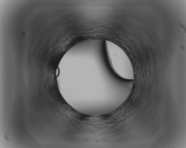 X0000092060615200709121006
