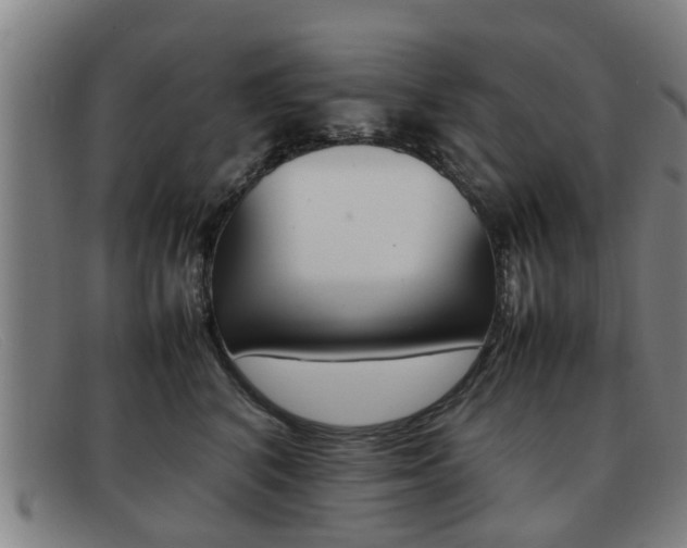 X0000092060616200709121006