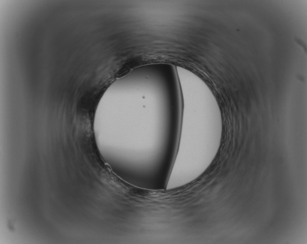 X0000092060617200709121006