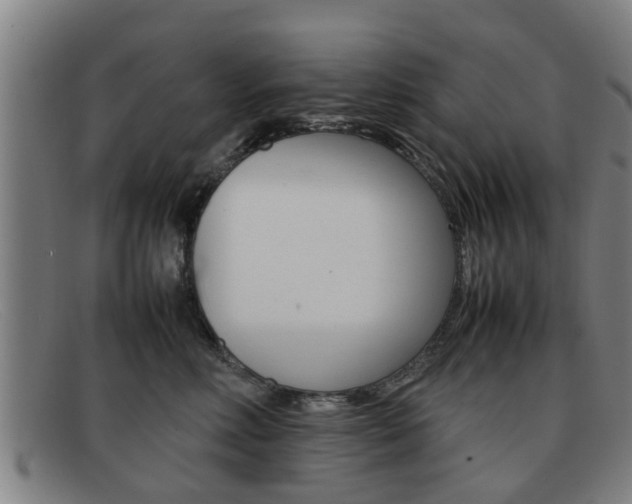 X0000092060618200709121006
