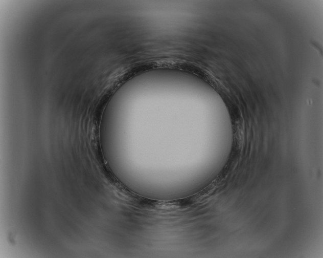 X0000092060619200709121006
