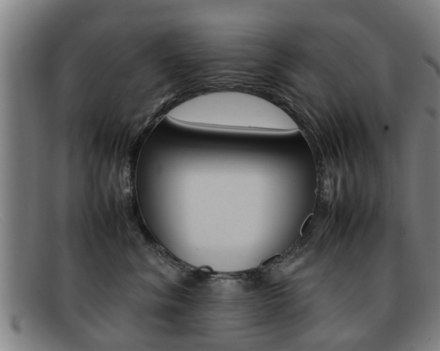 X0000092060620200709121006