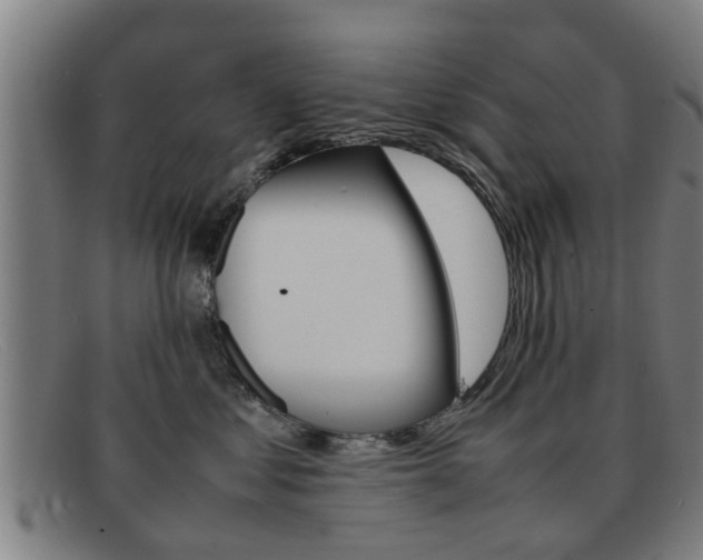 X0000092060621200709121006