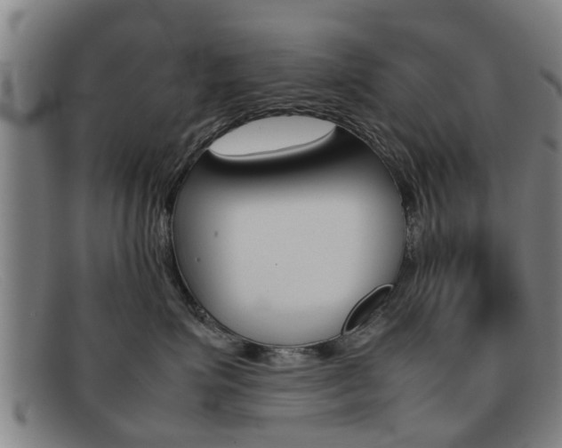 X0000092060623200709121006