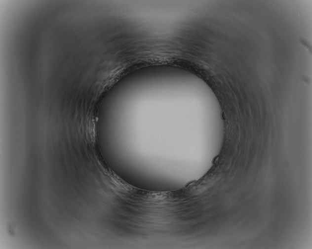 X0000092060624200709121006