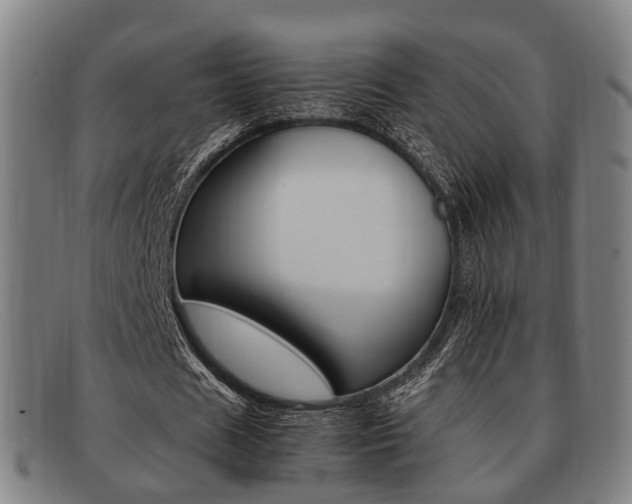 X0000092060625200709121006