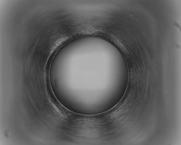 X0000092060626200709121006