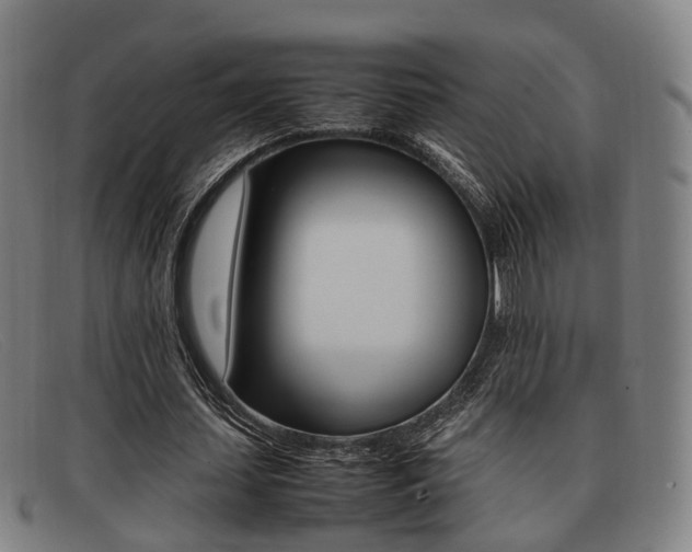 X0000092060627200709121006