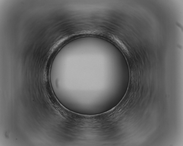 X0000092060628200709121006